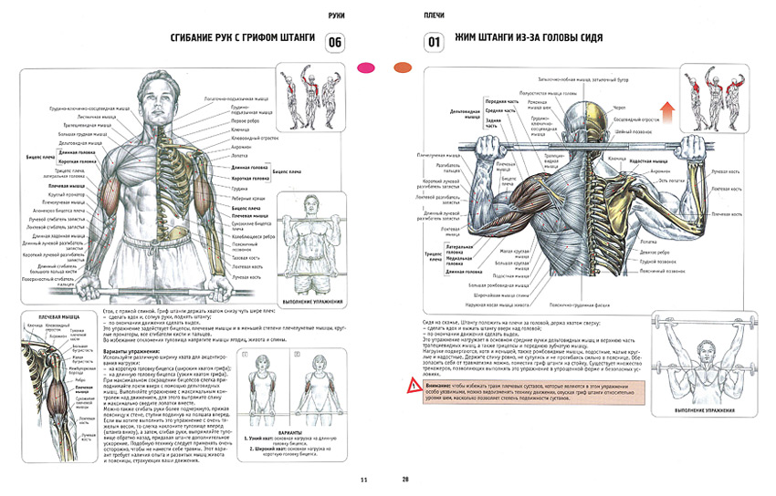 http://vashurin.com/jj/pow_anatomy.jpg